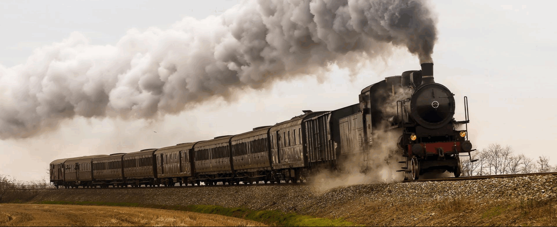 Dia Mundial do Cinema: democratizando a sétima arte via leis de incentivo