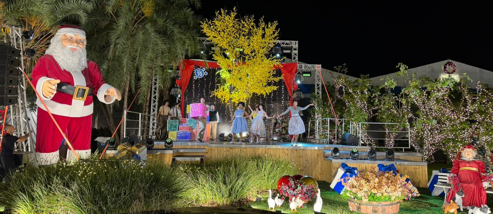 Natal Ypê 2025 espera mais de 100 mil visitantes até o Natal em Amparo